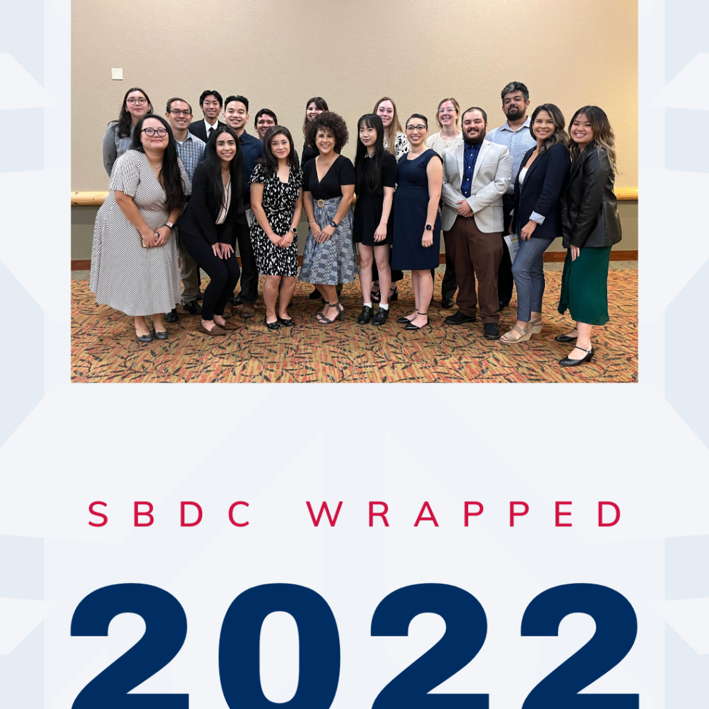 SBDC Wrapped IG Story 2022